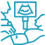 pelvic_scan